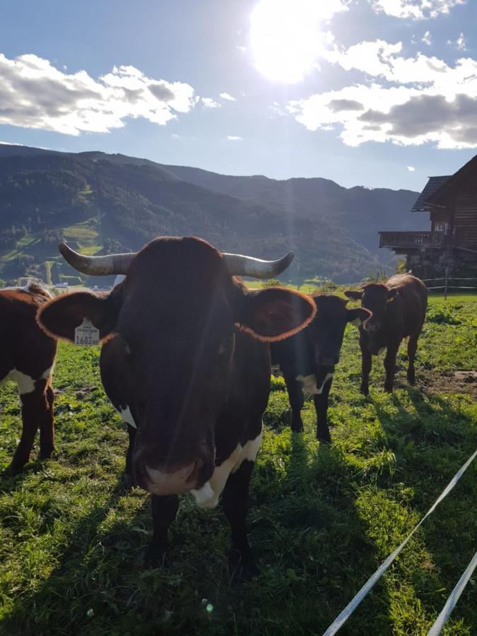 Hüttenferien Köberlhof Sankt Georgen ob Murau